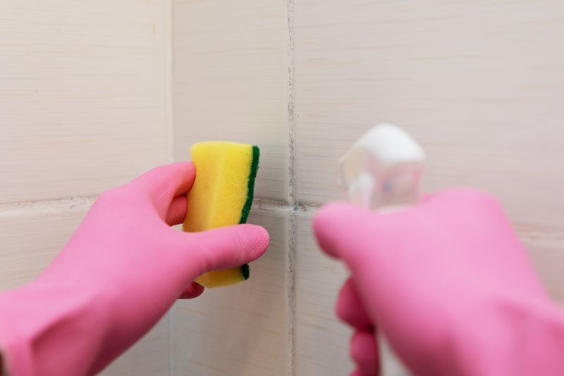 Tools for Grout Cleaning
